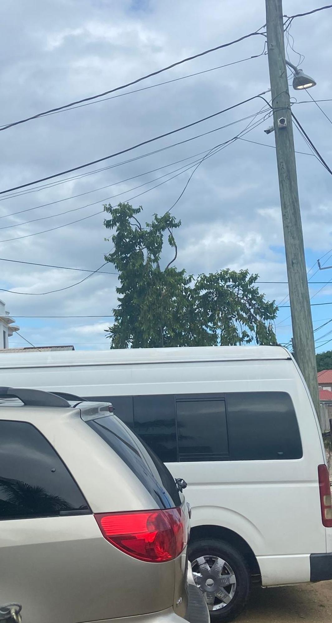 Chaleanor Hotel Dangriga Eksteriør billede